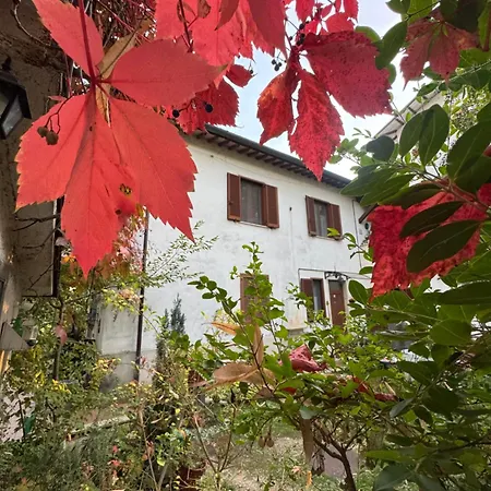 Stella Polare B&B-3
